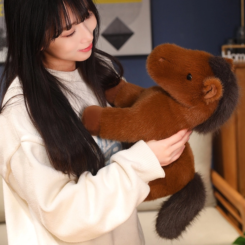 23cm35cm