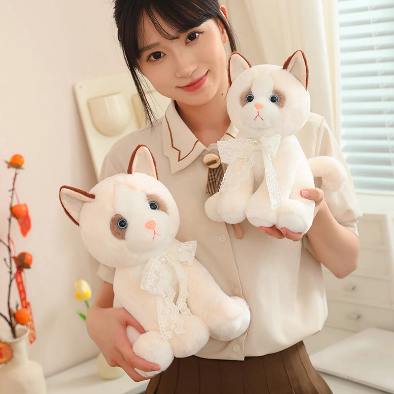 25cm33cm
