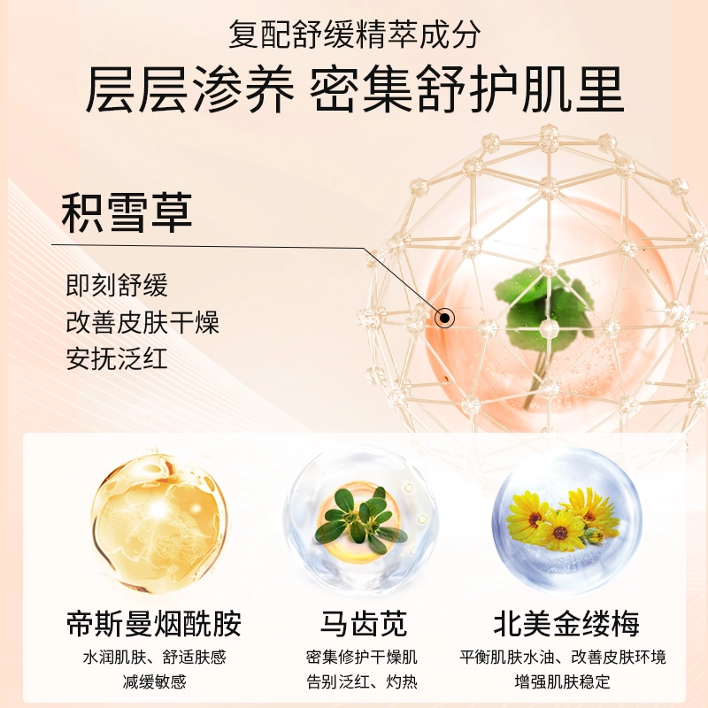 透真  面膜组合套装 海葡萄玻色因水油双抗山茶花补水保湿修护抗皱淡纹