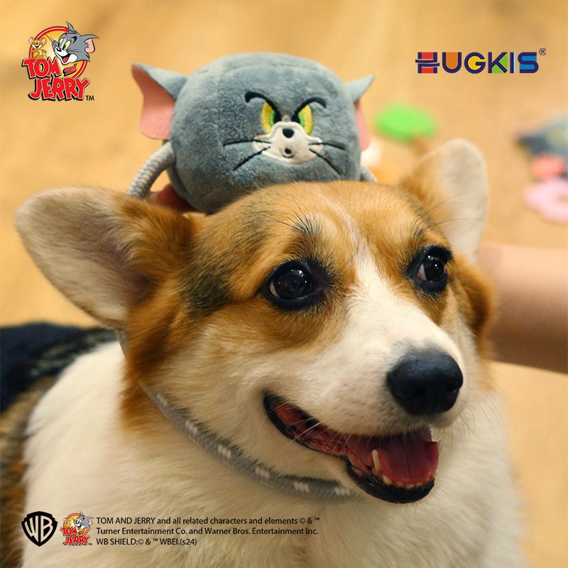 HUGKIS 6