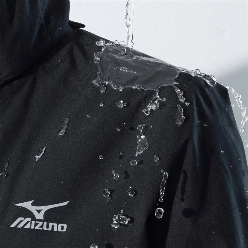 Mizuno