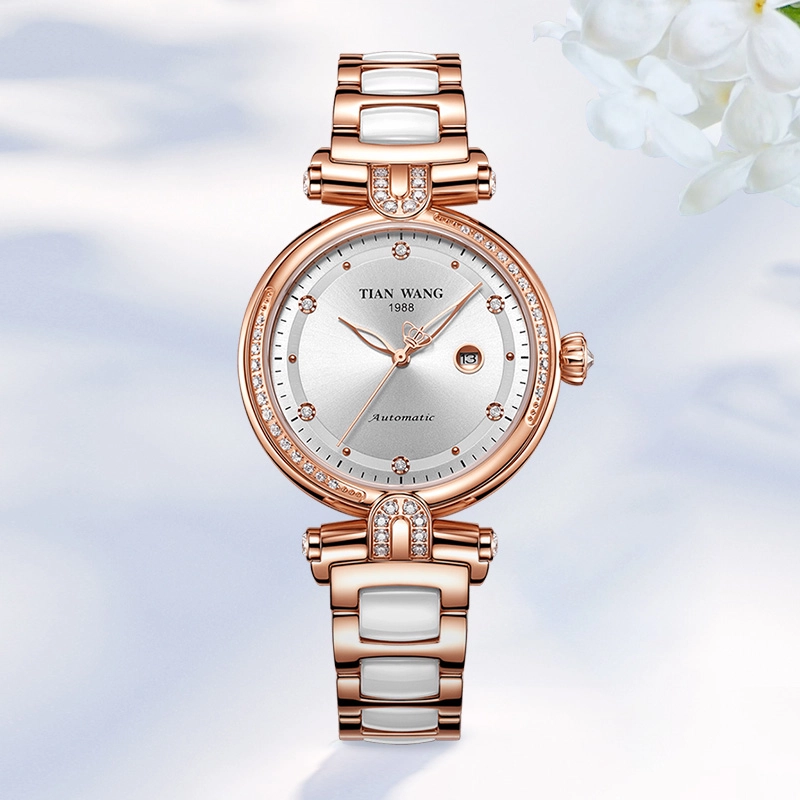 TIANWANG SHINE 5988