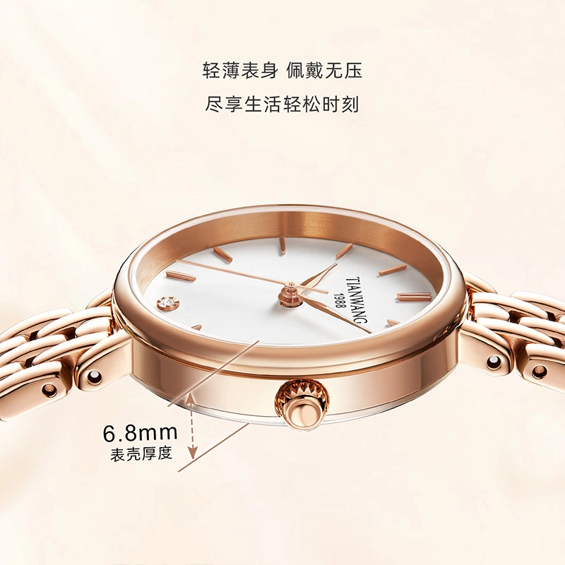 TIANWANG 31348