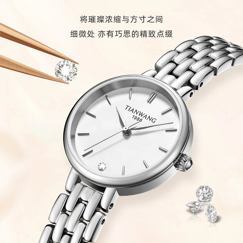 TIANWANG 31348