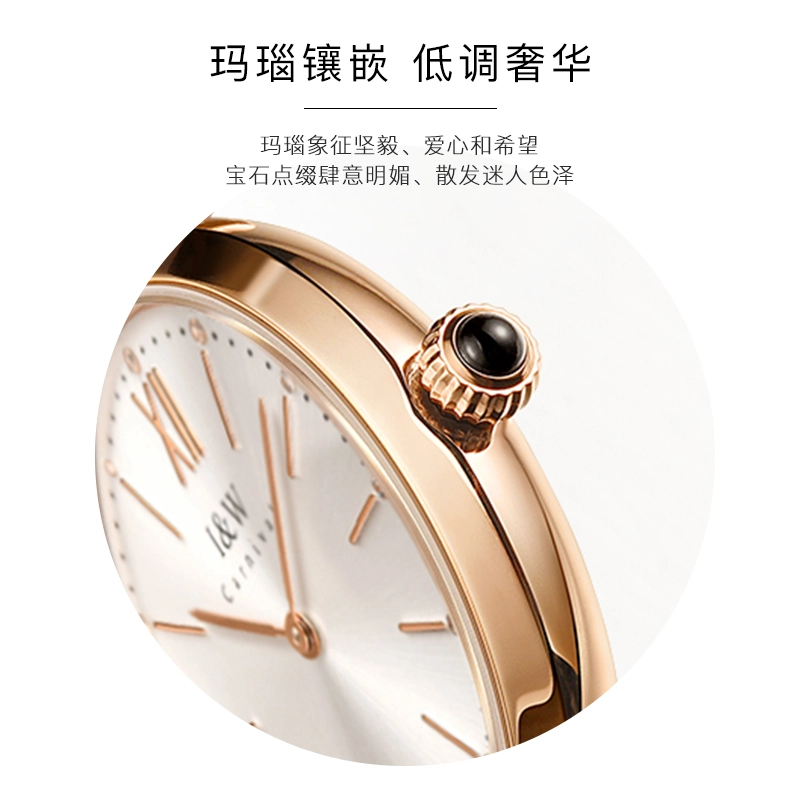 IW CARNIVAL HWGUOJI 8562