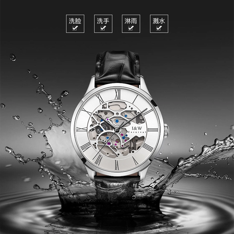 IW CARNIVAL HWGUOJI DW8522G