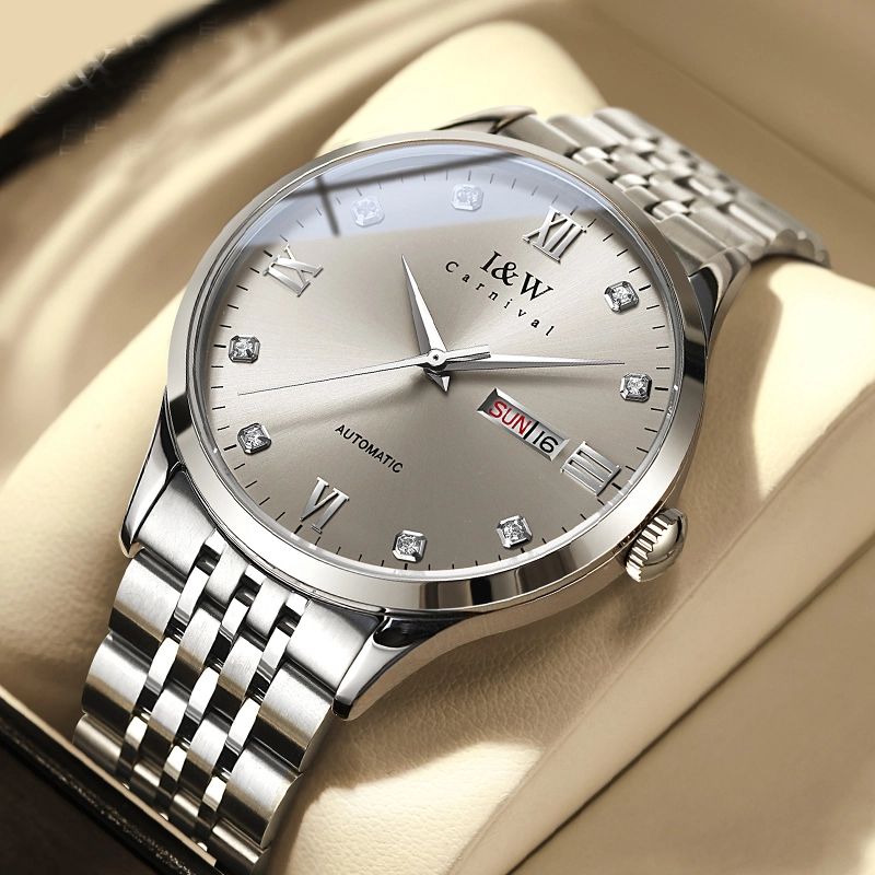 IW CARNIVAL HWGUOJI 512G