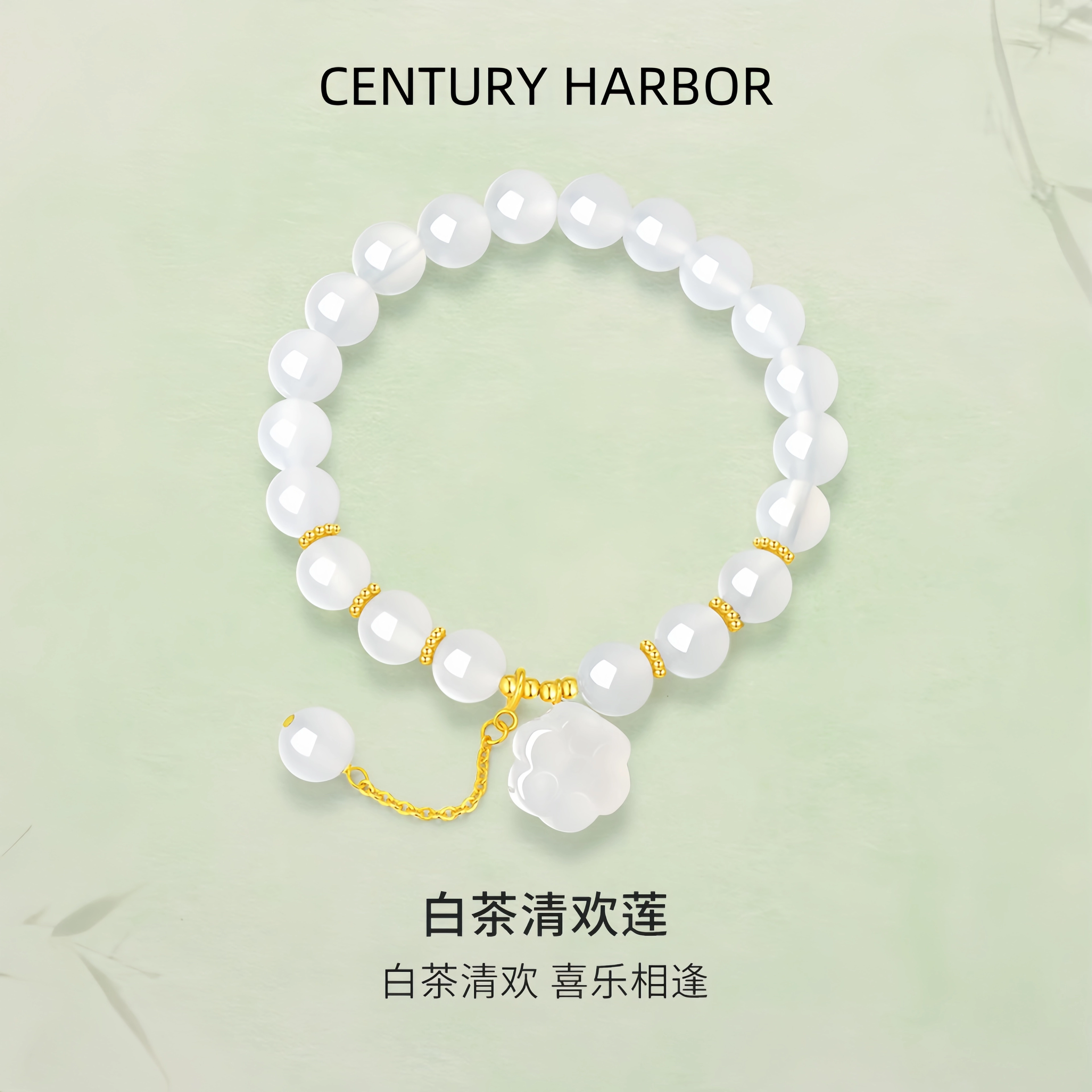 CENTURY HARBOR