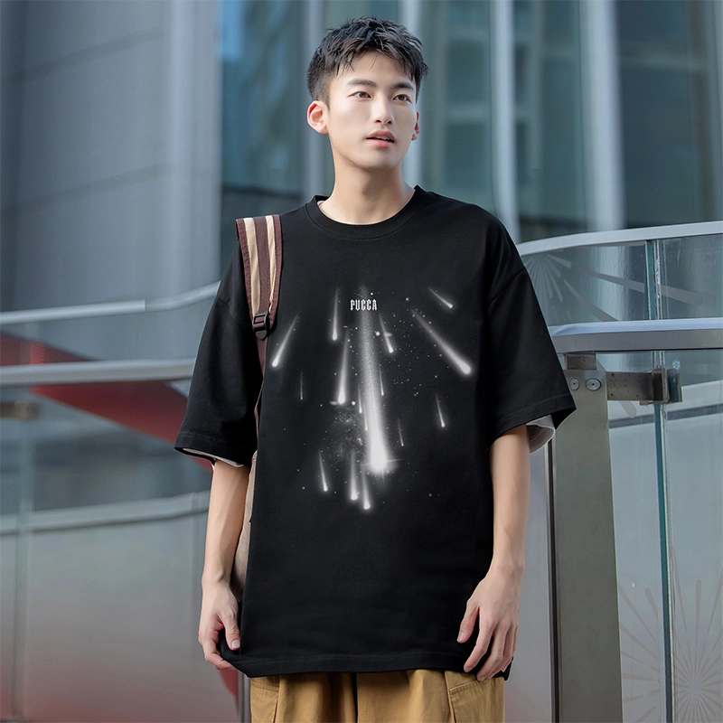 PUCCA logoT 2