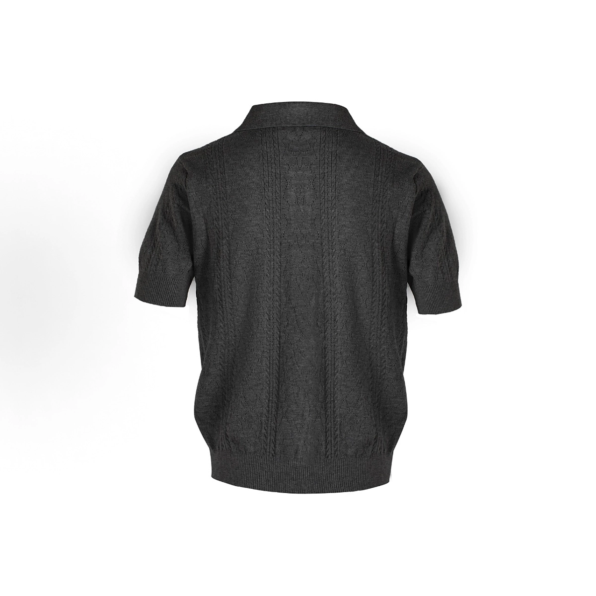 WELTER EXPERIMENT Polo