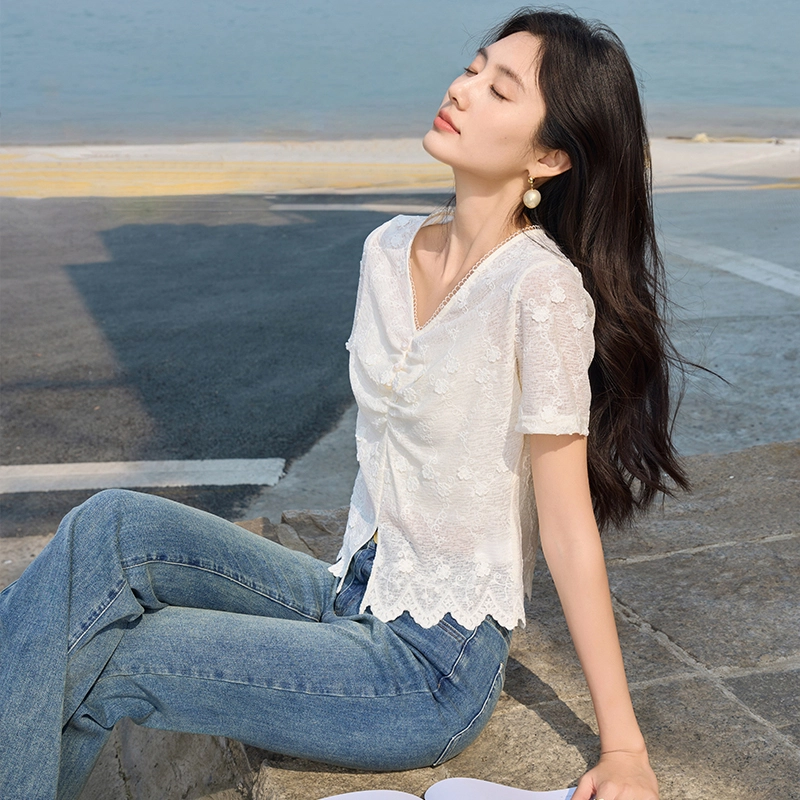 XIANGYING V T