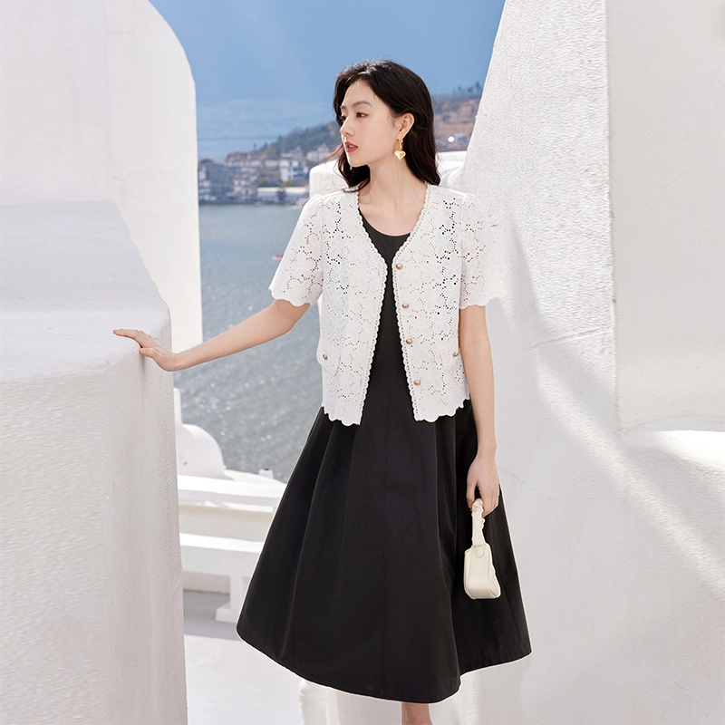 XIANGYING V