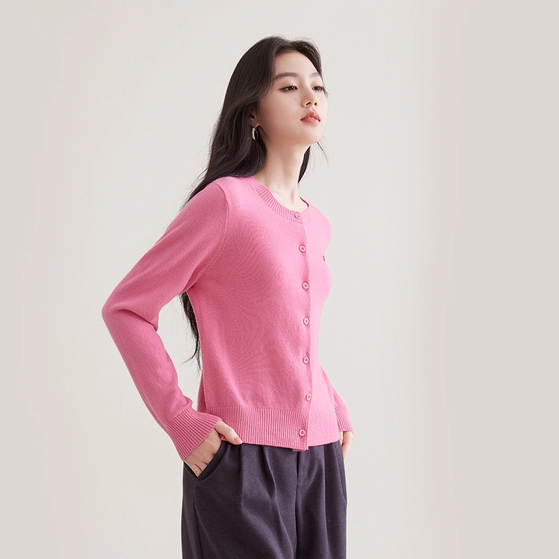 XIANGYING 100