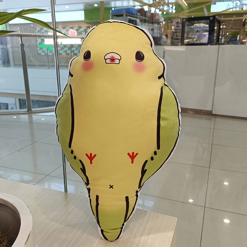 50cm