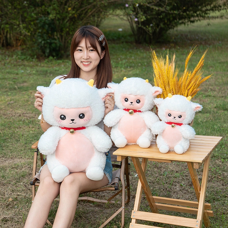25cm35cm50cm