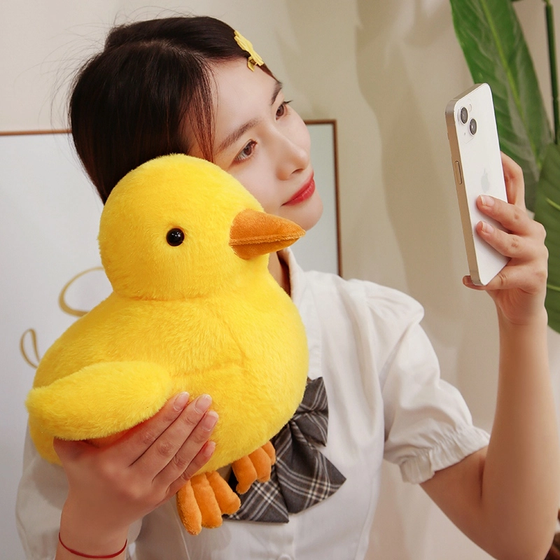 30cm40cm