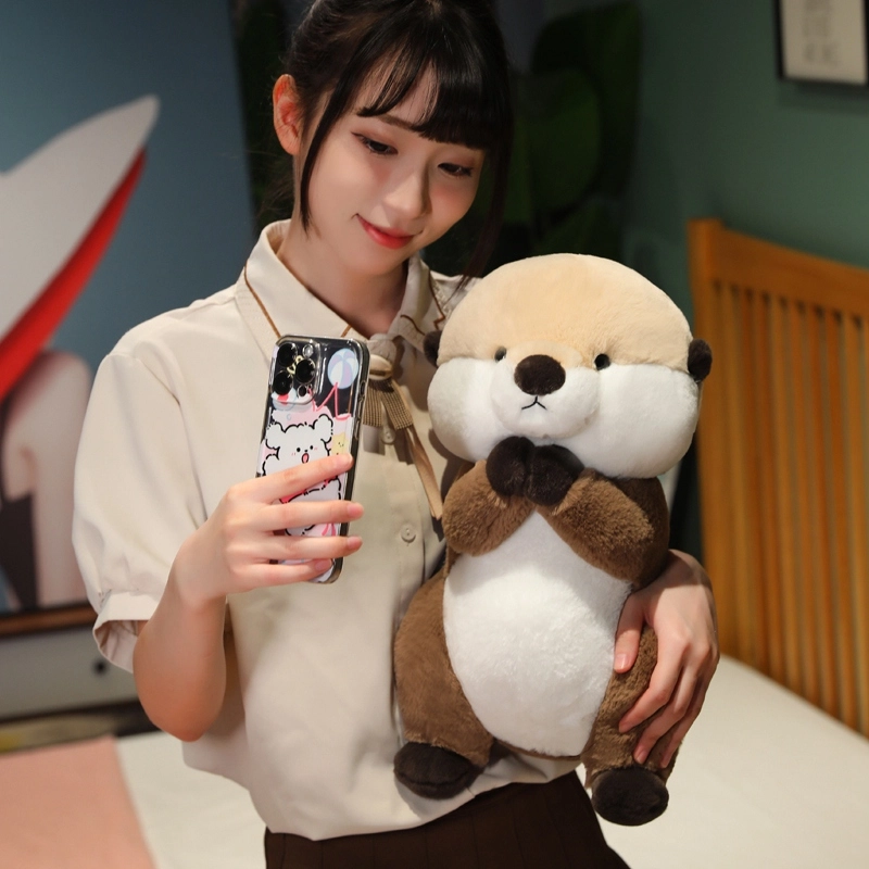 25cm40cm