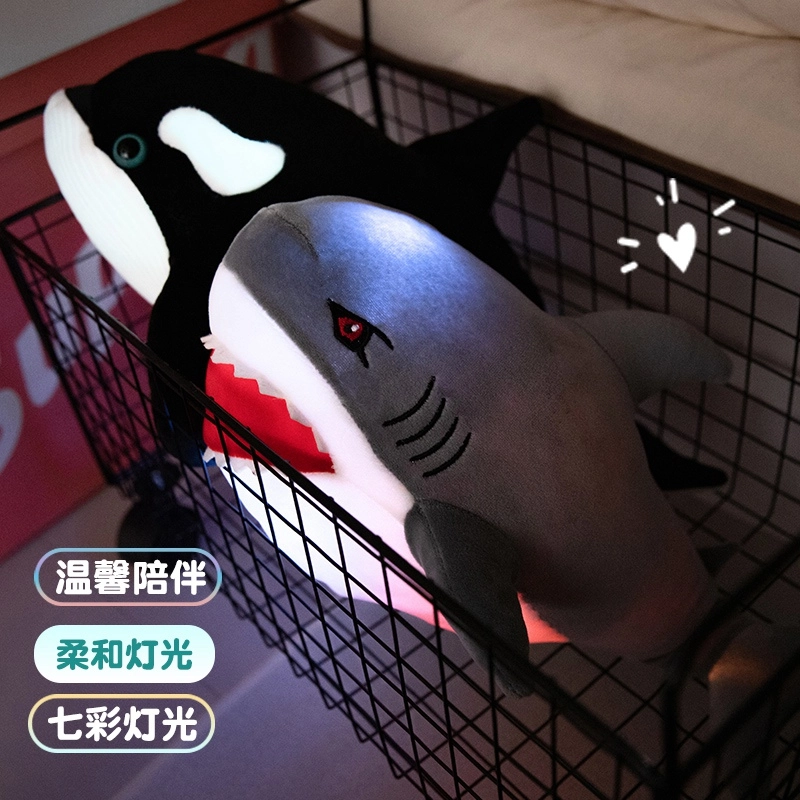 28cm40cm