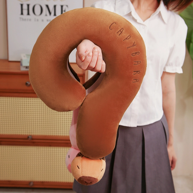 50cm