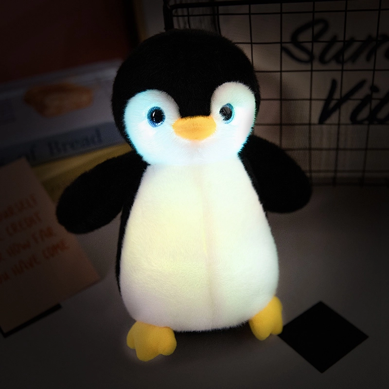 25cm30cm