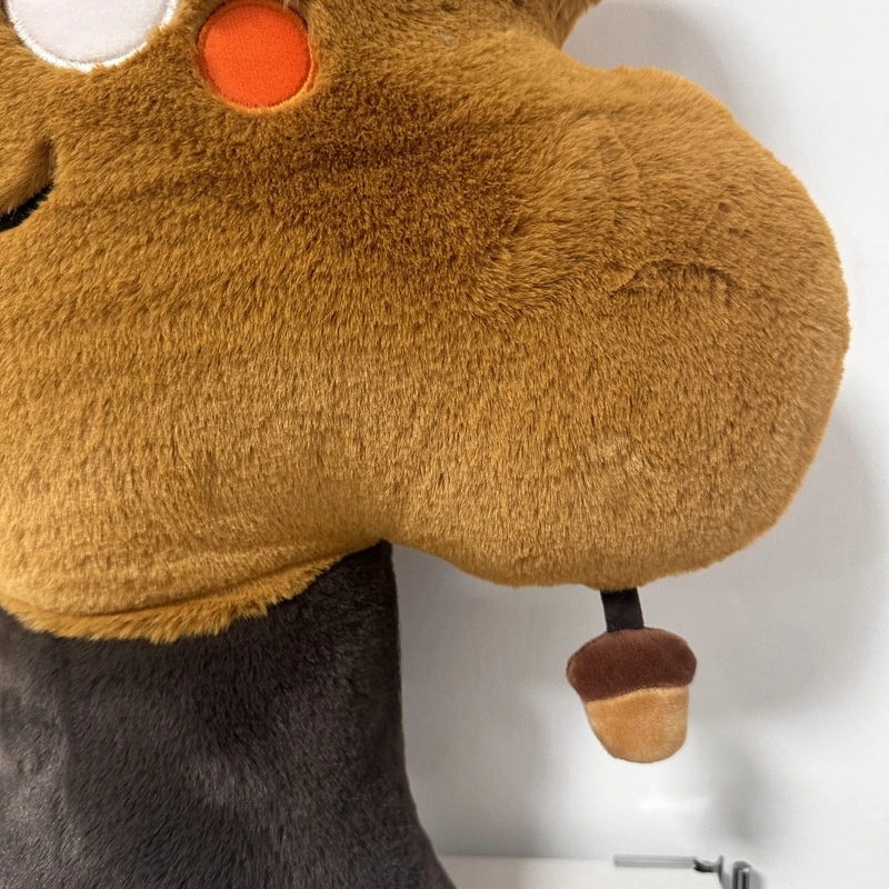 55cm