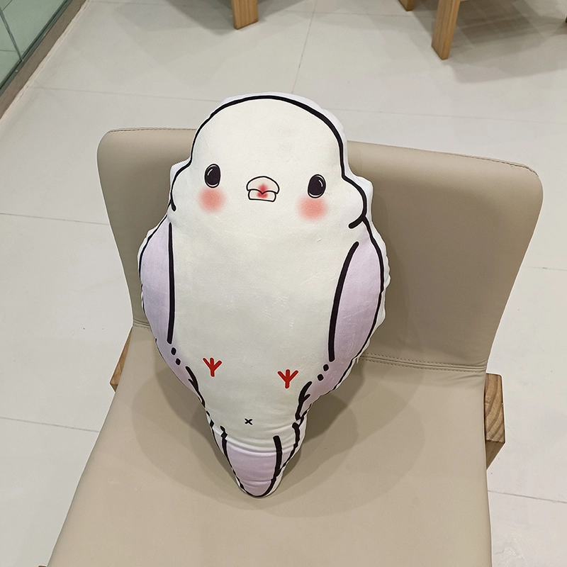 50cm