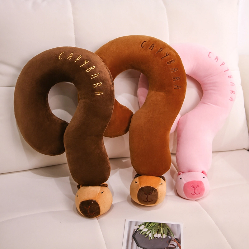 50cm