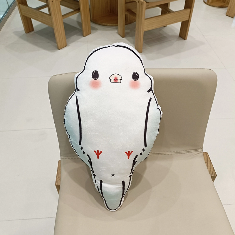 50cm
