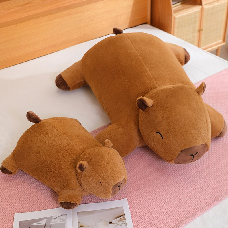 60cm100cm140cm