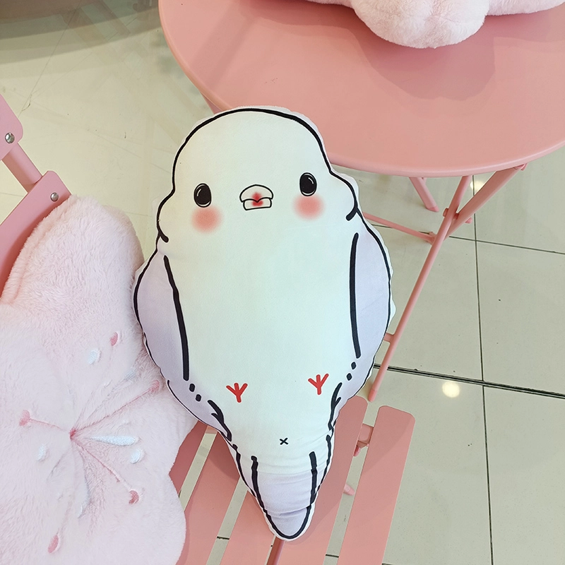 50cm