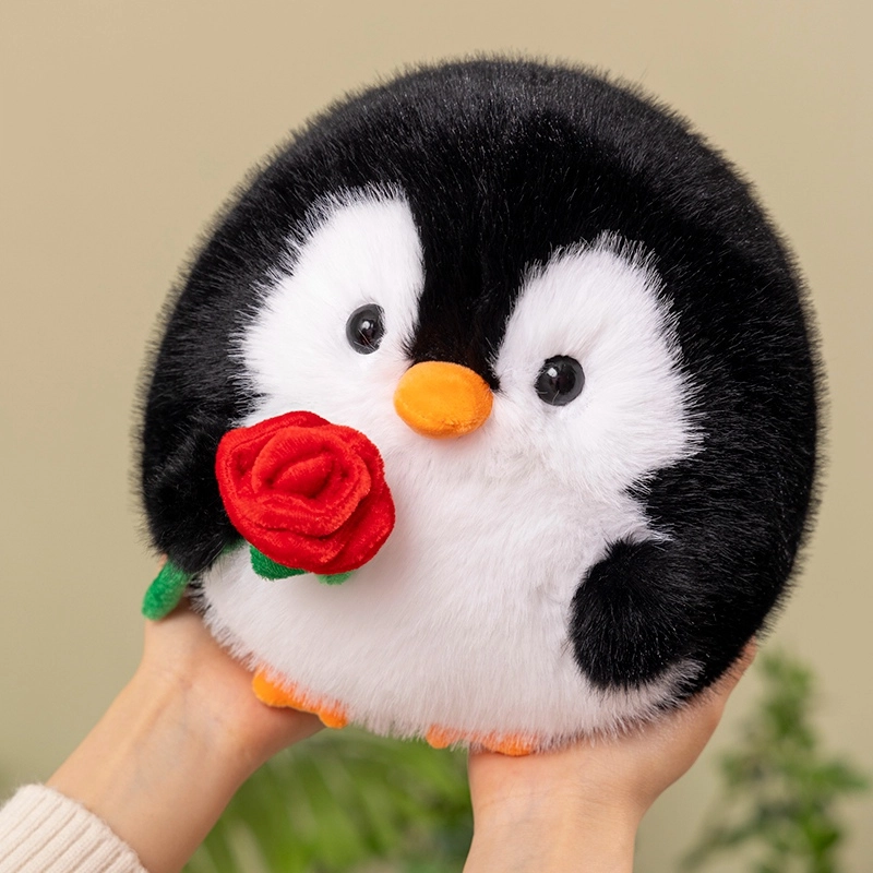 20cm