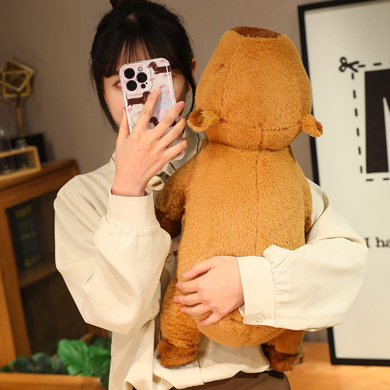60cm80cm