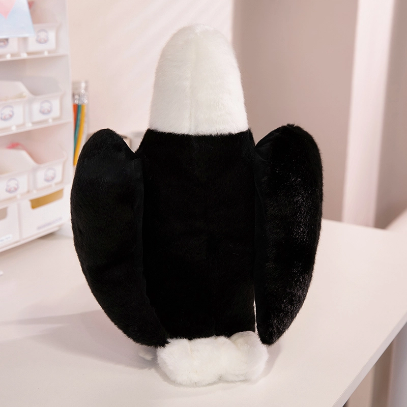 25cm35cm
