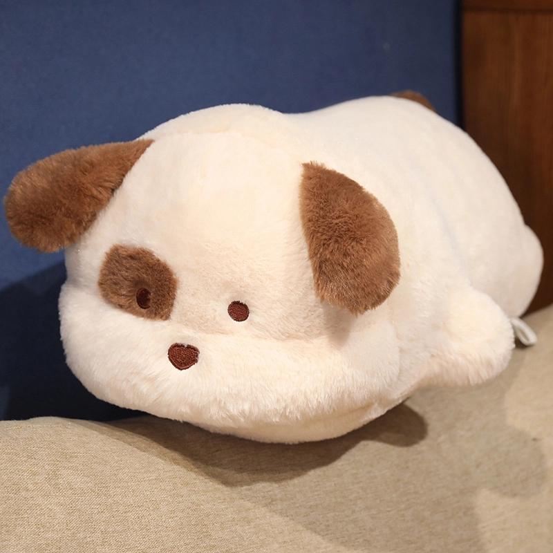 50cm
