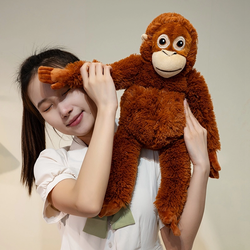 22cm55cm