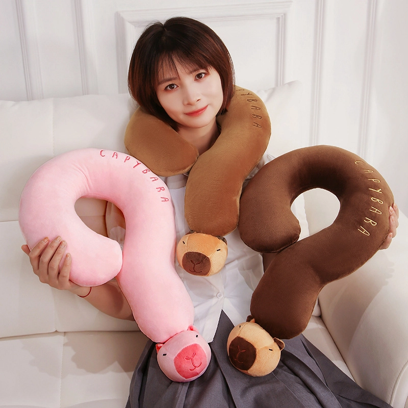 50cm