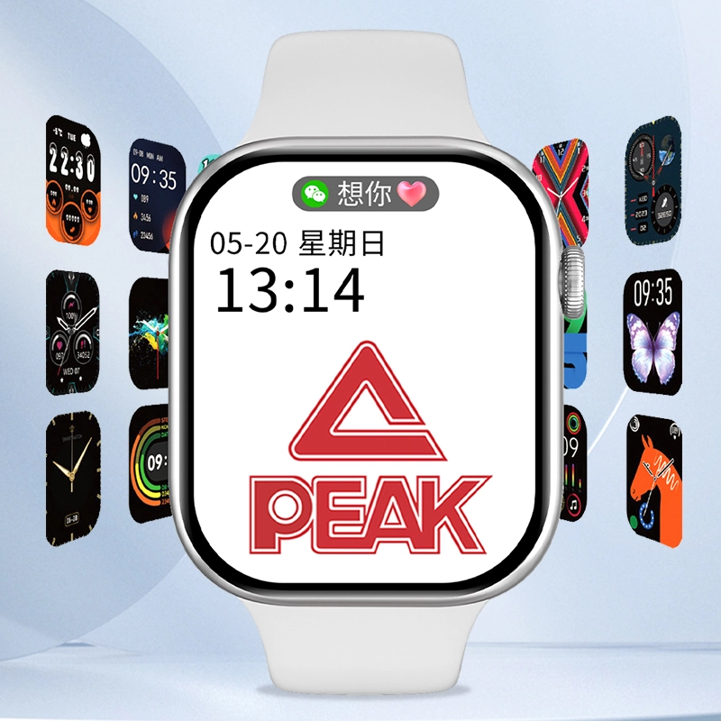 PEAKNFCGT45S9