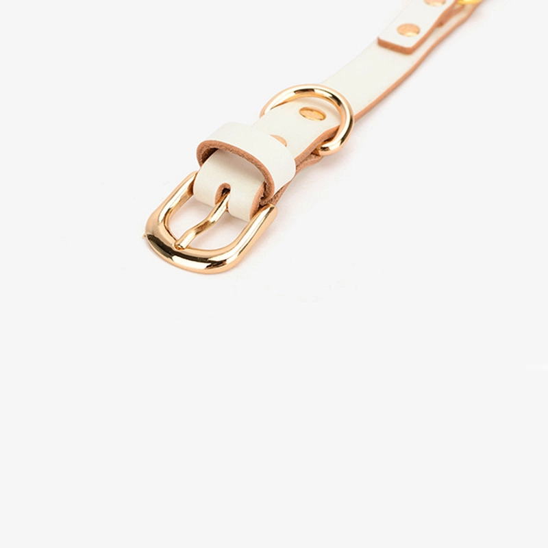 FUO choker PU