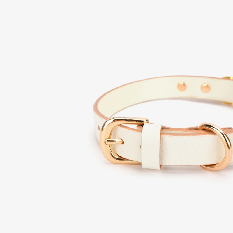 FUO choker PU