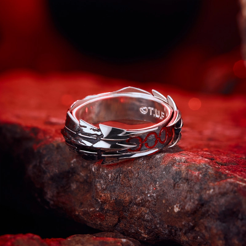 xingyunshi Fate IP