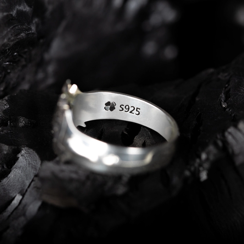 xingyunshi Fate IP