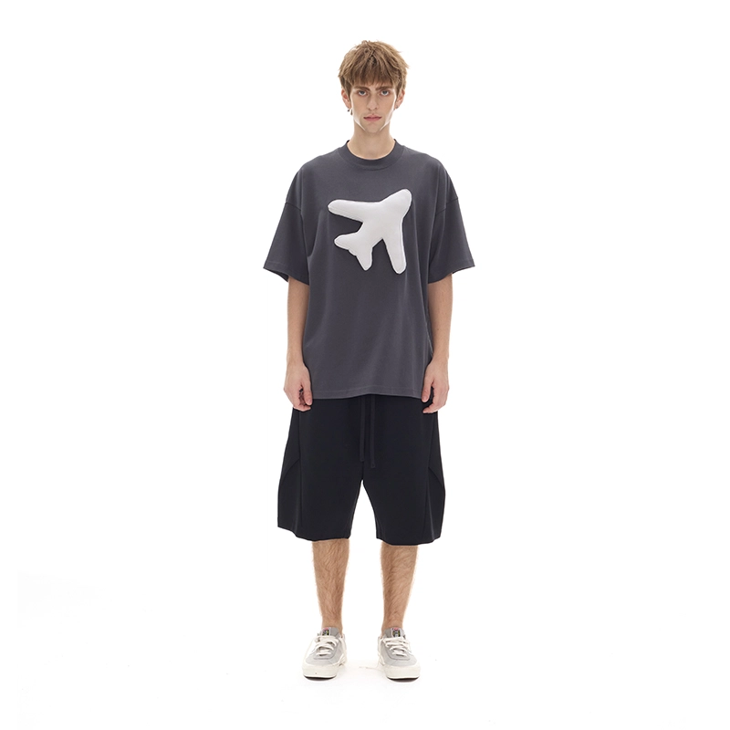 SQQZ project T