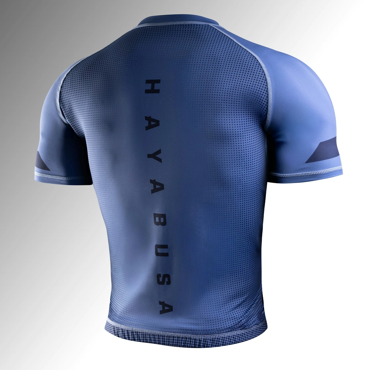 HAYABUSA