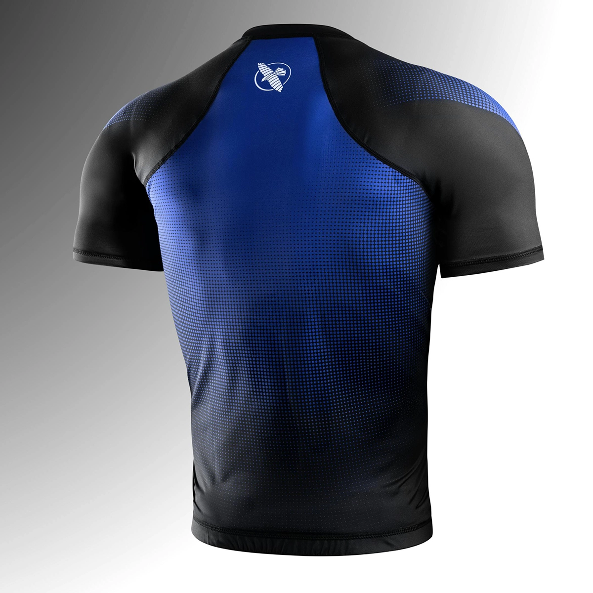 HAYABUSA T