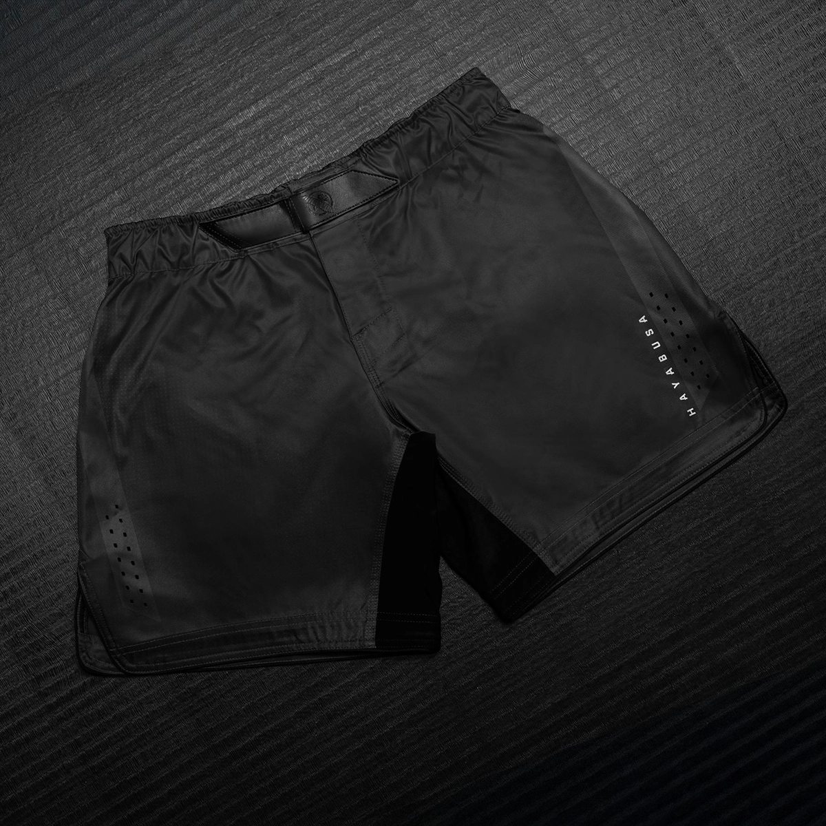 HAYABUSA MMA