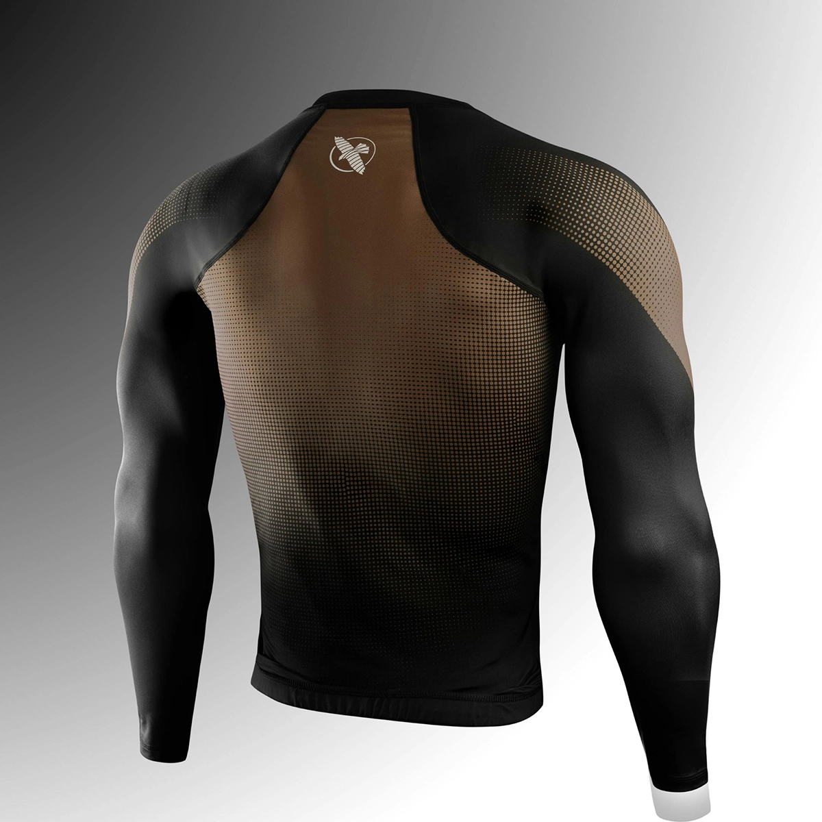 HAYABUSA T