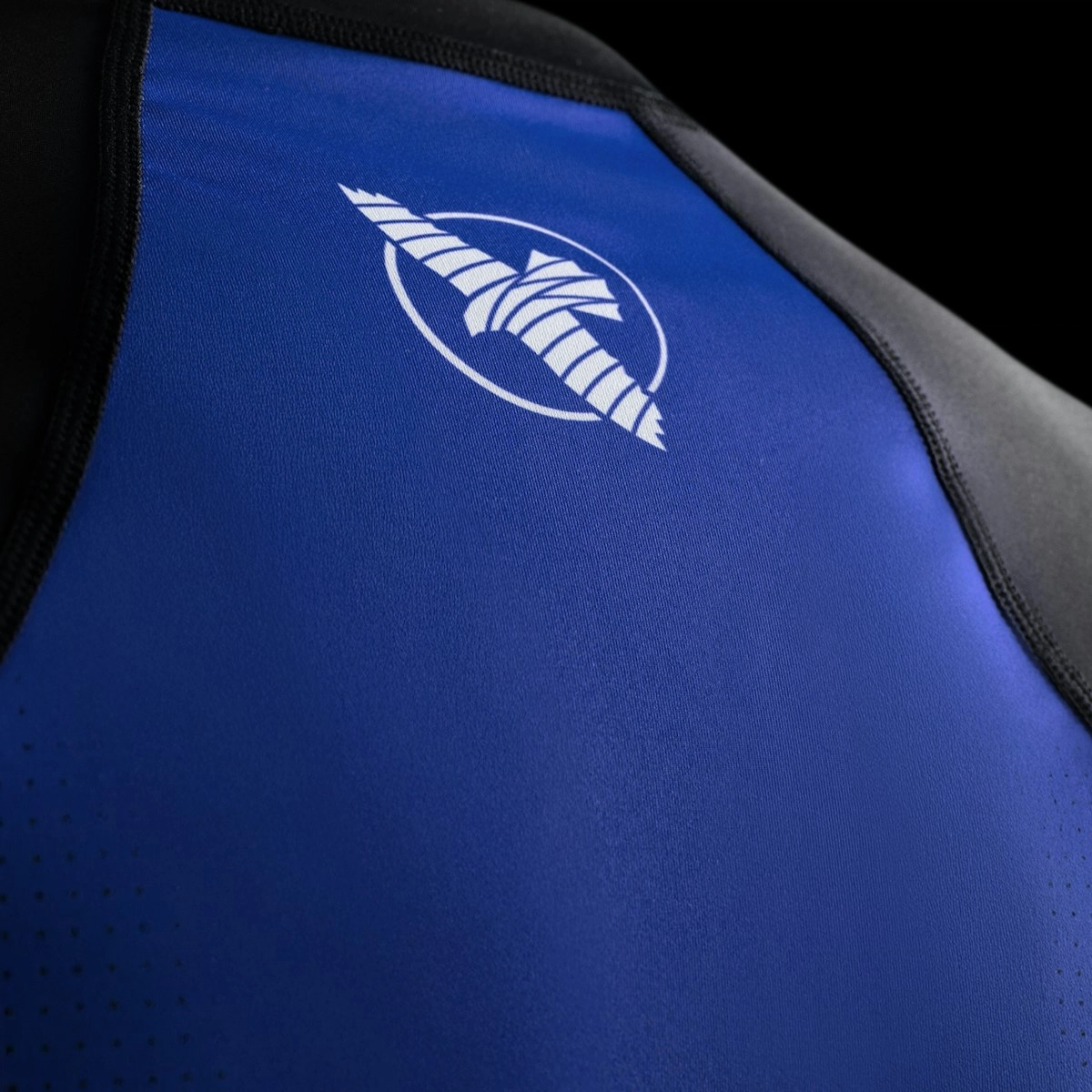 HAYABUSA T