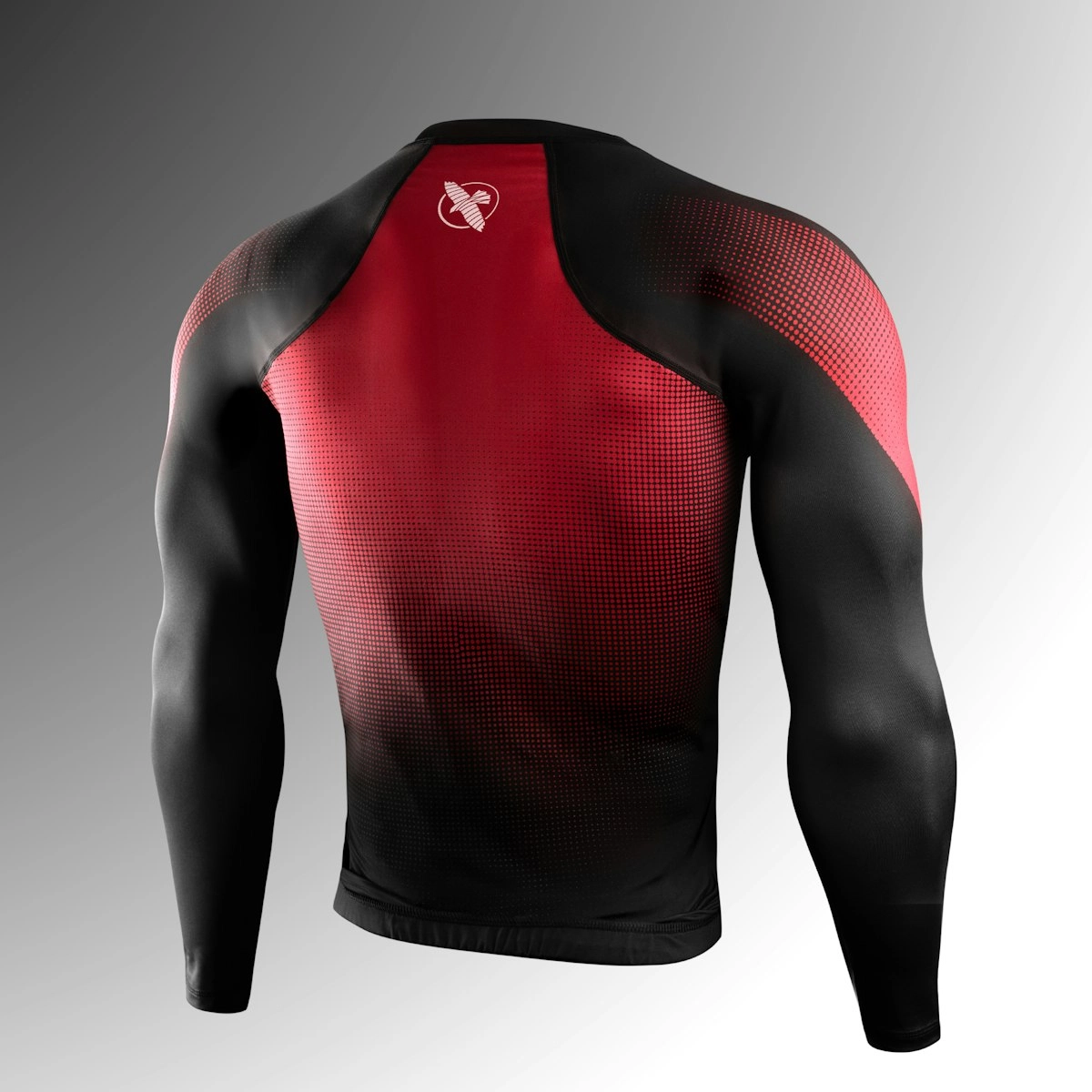 HAYABUSA T