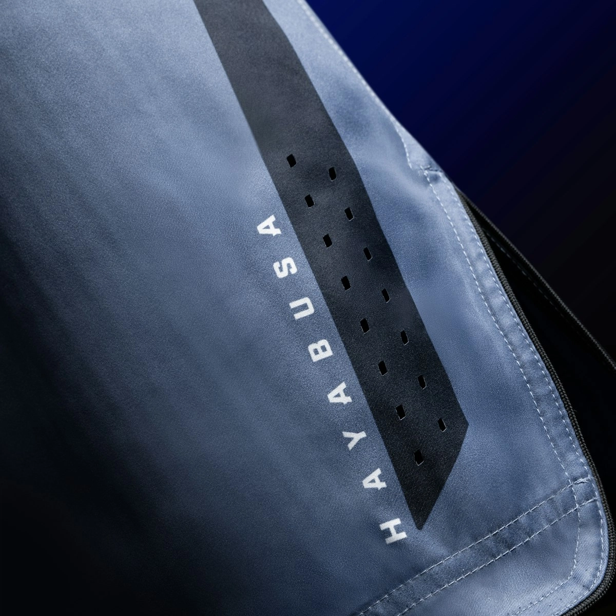 HAYABUSA MMA