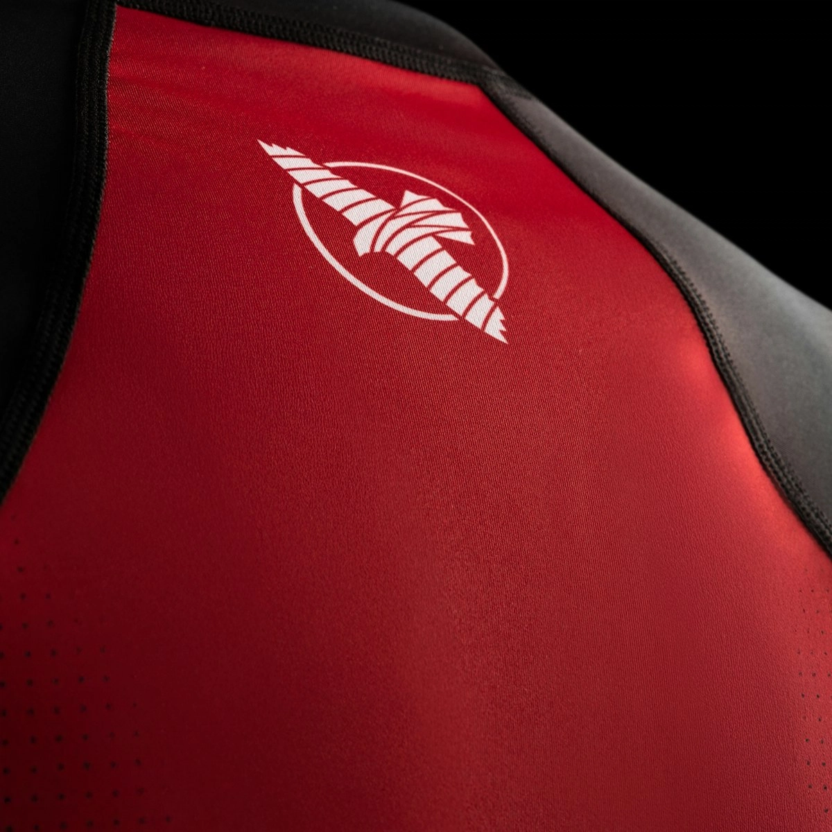 HAYABUSA T